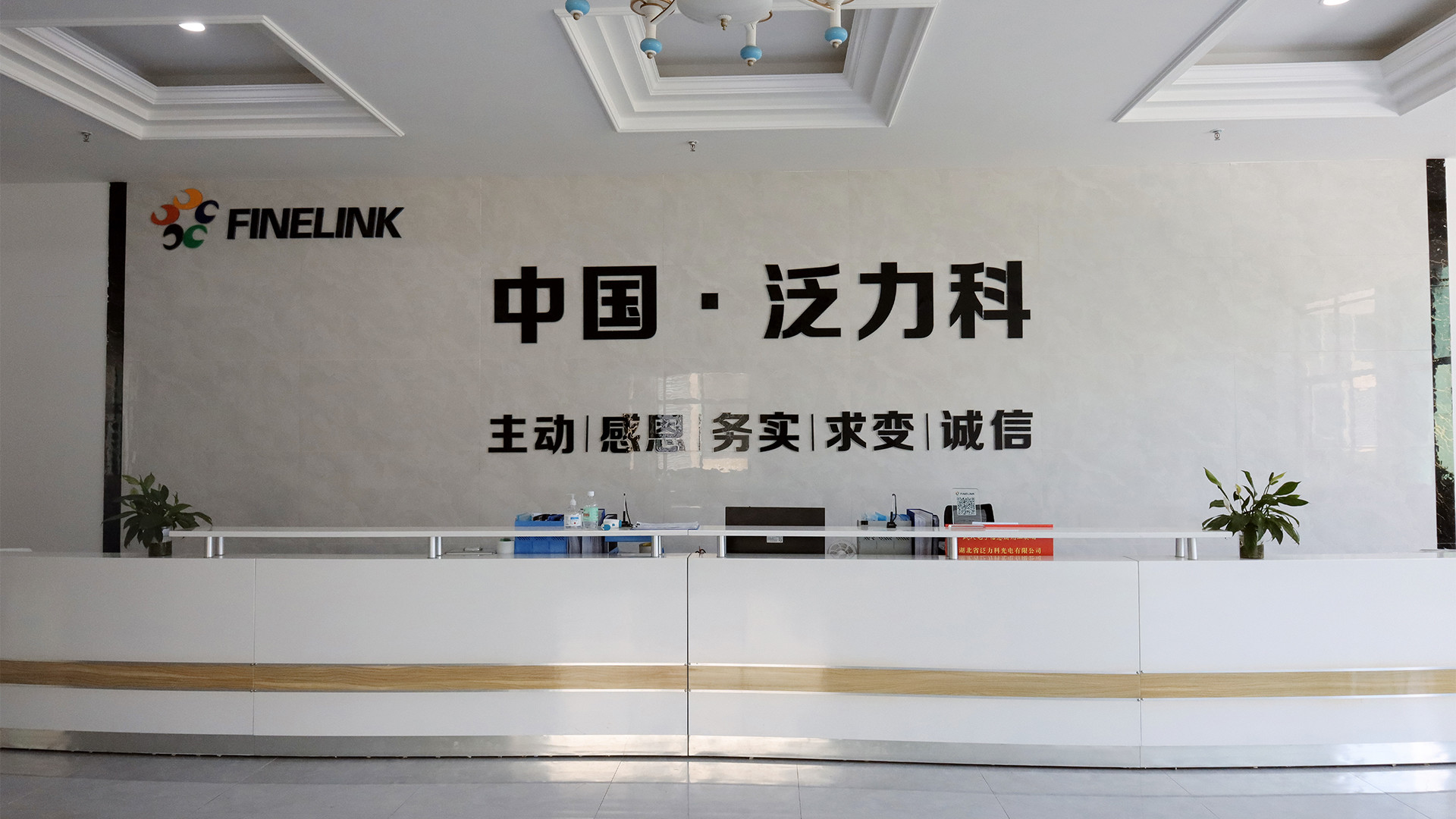 Chine Hubei Finelink Photoelectric Co., Ltd.